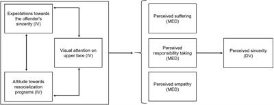 Sincerity Is in the Eye of the Beholder: Using Eye Tracking to Understand How Victims Interpret an Offender’s Apology in a Simulation of Victim–Offender Mediation